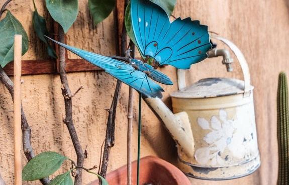Bed & Breakfast Gianicolo Roma